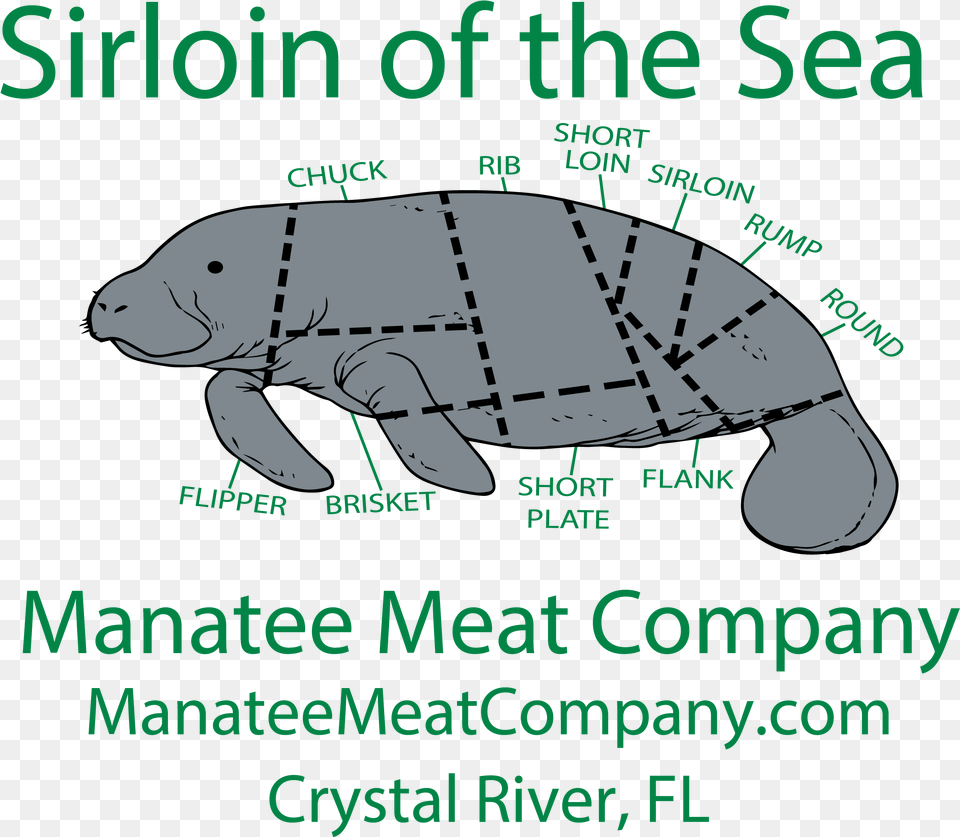Manatee Meat Company Sirloin Of The Sea Manatee, Animal, Mammal, Reptile, Sea Life Png Image