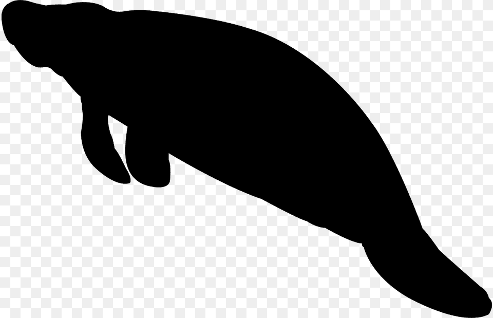 Manati Silueta, Animal, Mammal, Manatee, Fish Png Image