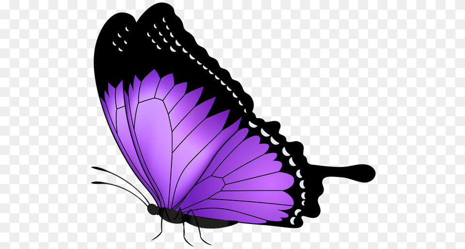 Mandala Butterfly Butterfly Clip Art Purple, Invertebrate, Insect, Animal, Astronomy Png