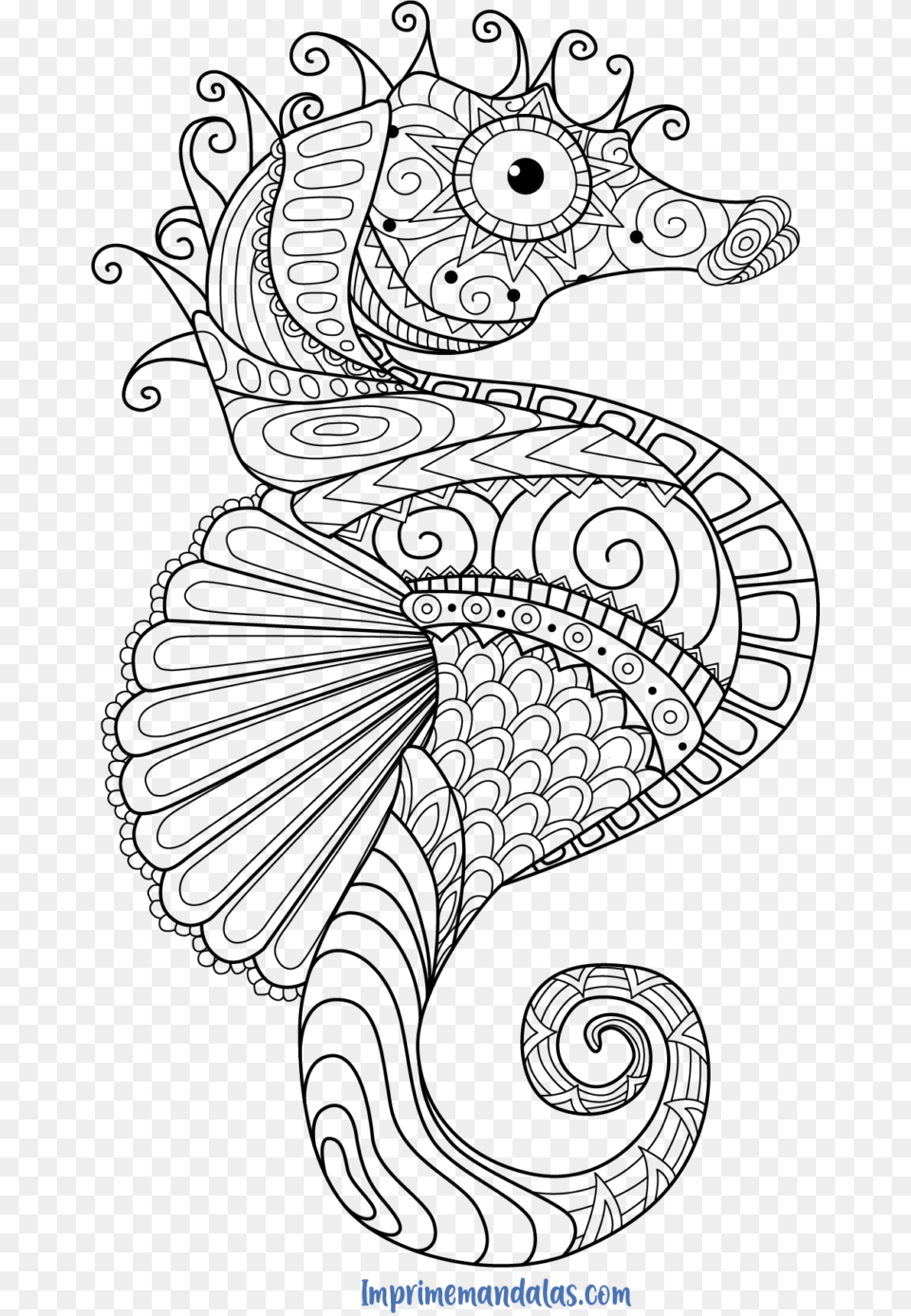 Mandala Caballito De Mar Para Colorear Seahorse Coloring Pages For Adults, Nature, Night, Outdoors, Astronomy Png Image