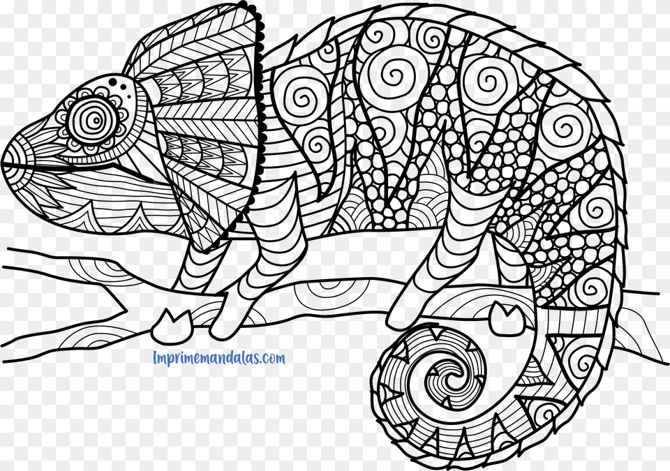 Mandala De Conejo U2022 Imprime Mandalas Chameleon Zentangle, Art, Doodle, Drawing, Animal Free Png
