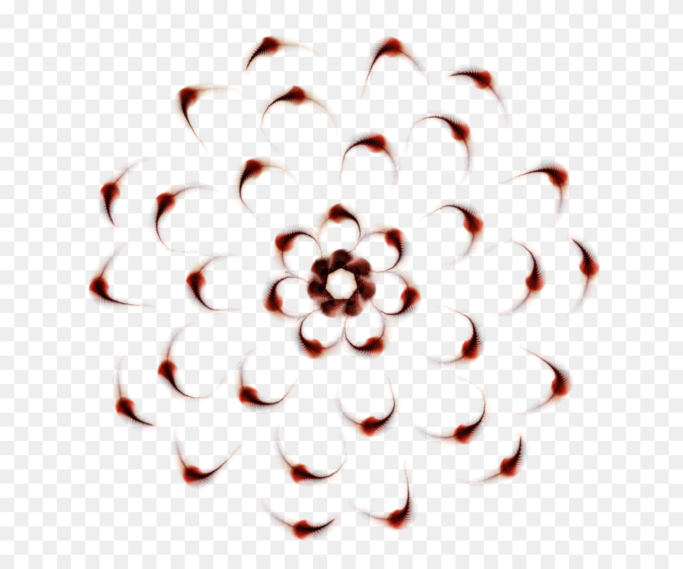 Mandala Flower, Plant, Pattern, Dahlia, Graphics Png Image