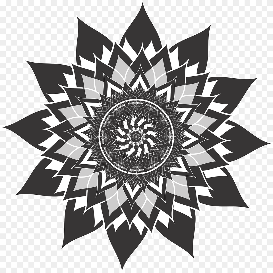 Mandala Flower Lotus Free Picture Meditation Sacred Geometry Mandala, Art, Graphics, Pattern, Floral Design Png Image