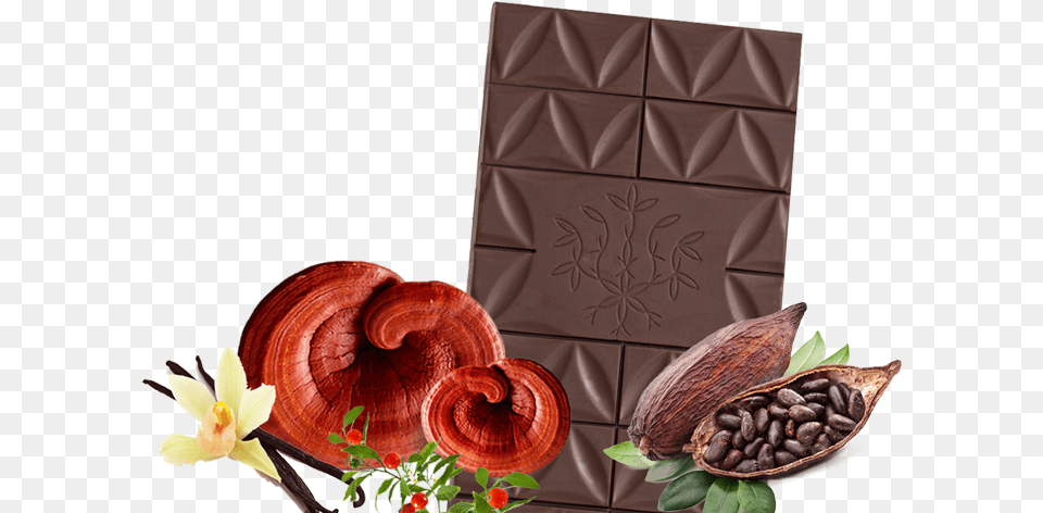 Mandala Tree Chocolate Ingredients Chocolate, Cocoa, Dessert, Food, Fungus Png Image