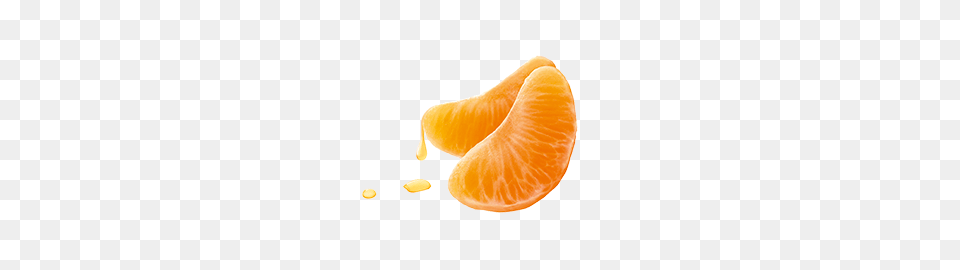 Mandarin, Citrus Fruit, Food, Fruit, Orange Png Image