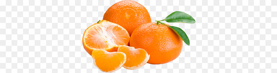 Mandarin, Citrus Fruit, Food, Fruit, Grapefruit Free Transparent Png