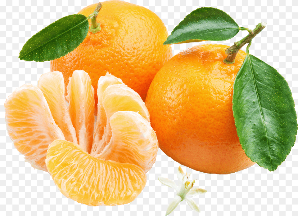 Mandarin Png