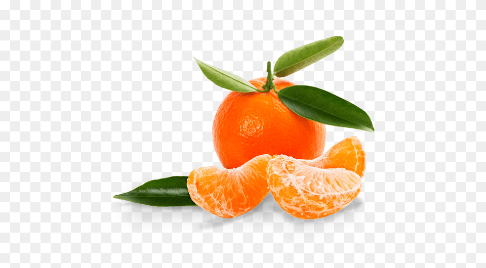 Mandarin, Citrus Fruit, Food, Fruit, Orange Free Png