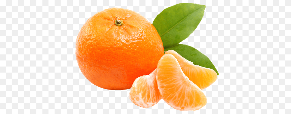 Mandarin, Citrus Fruit, Food, Fruit, Grapefruit Free Png