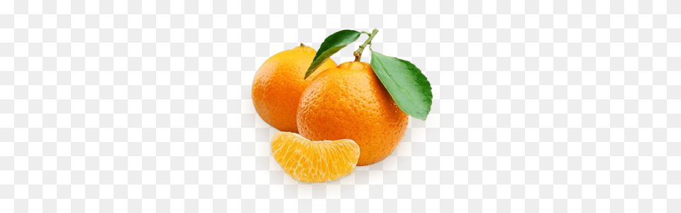 Mandarin, Citrus Fruit, Food, Fruit, Orange Free Png