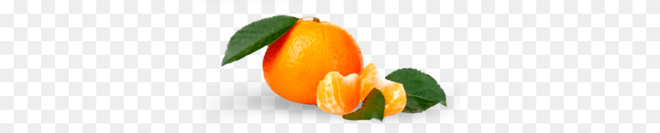 Mandarin, Citrus Fruit, Food, Fruit, Orange Free Transparent Png