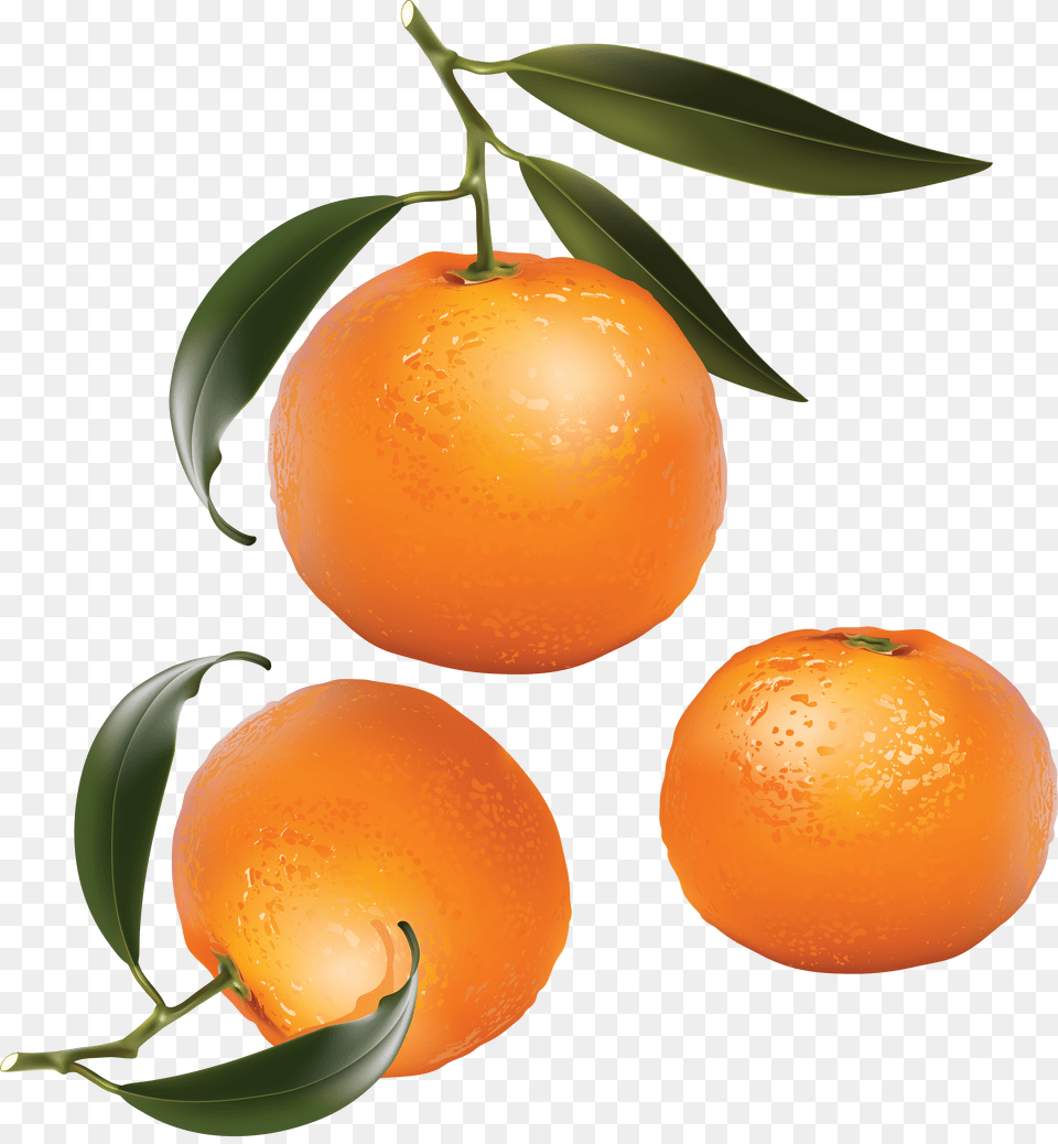 Mandarin Free Png