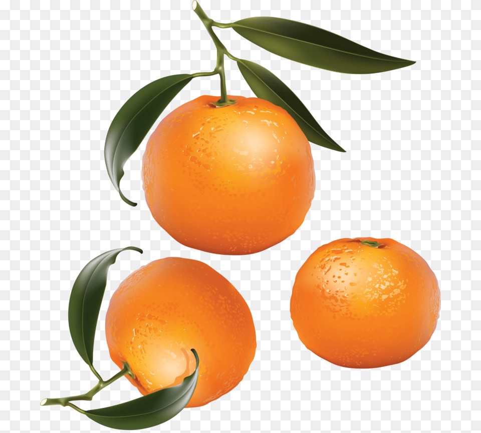 Mandarin Download Image With Background Orange Fruits Clip Art, Citrus Fruit, Food, Fruit, Grapefruit Free Transparent Png