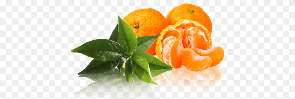 Mandarin Mandarin, Citrus Fruit, Food, Fruit, Grapefruit Free Transparent Png
