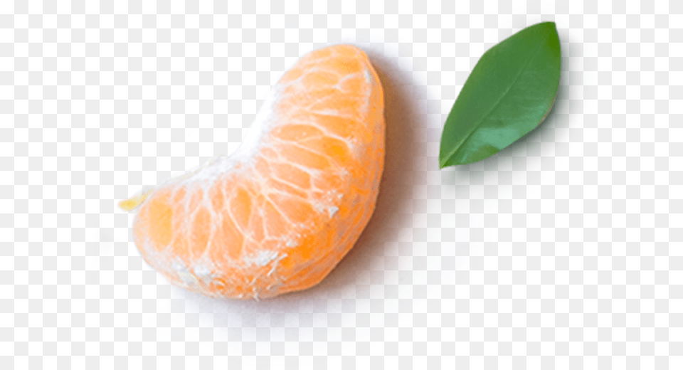 Mandarin Orange, Citrus Fruit, Food, Fruit, Grapefruit Png Image