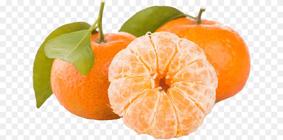 Mandarin Orange, Citrus Fruit, Food, Fruit, Grapefruit Free Png Download