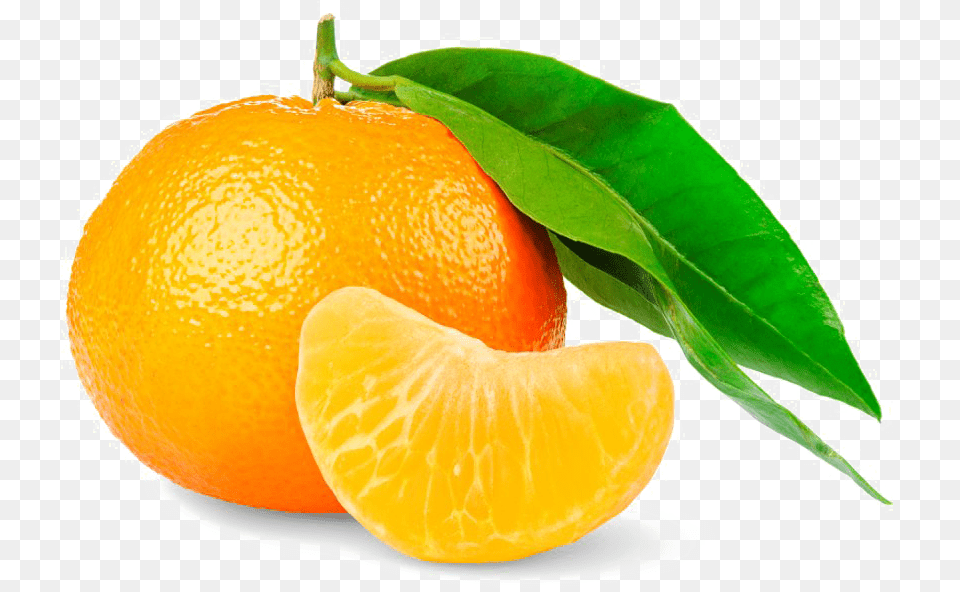 Mandarin Orange High Orange High Quality, Citrus Fruit, Food, Fruit, Plant Free Png Download