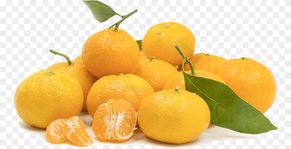 Mandarin Orange Image Background Tangerine, Citrus Fruit, Food, Fruit, Grapefruit Free Png Download