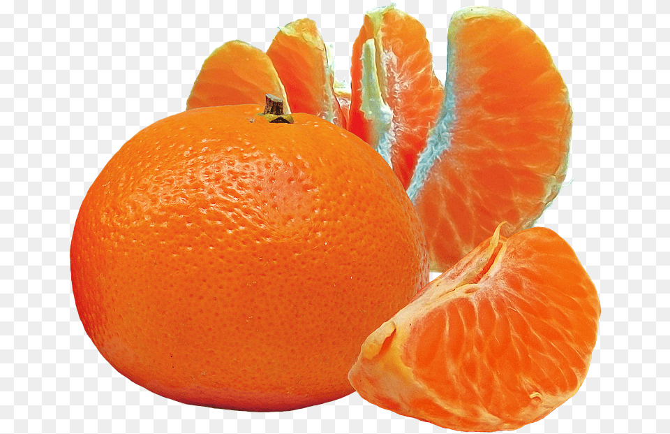 Mandarin Orange Mandarin Orange Clipart, Citrus Fruit, Food, Fruit, Grapefruit Png