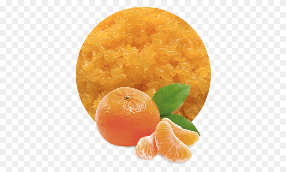 Mandarin Orange Sacs Manufacturer And Supplier Lemon Bergamota Montenegrina, Citrus Fruit, Food, Fruit, Grapefruit Free Png