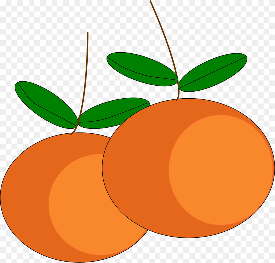 Mandarin Oranges Clipart, Citrus Fruit, Food, Fruit, Orange Png Image