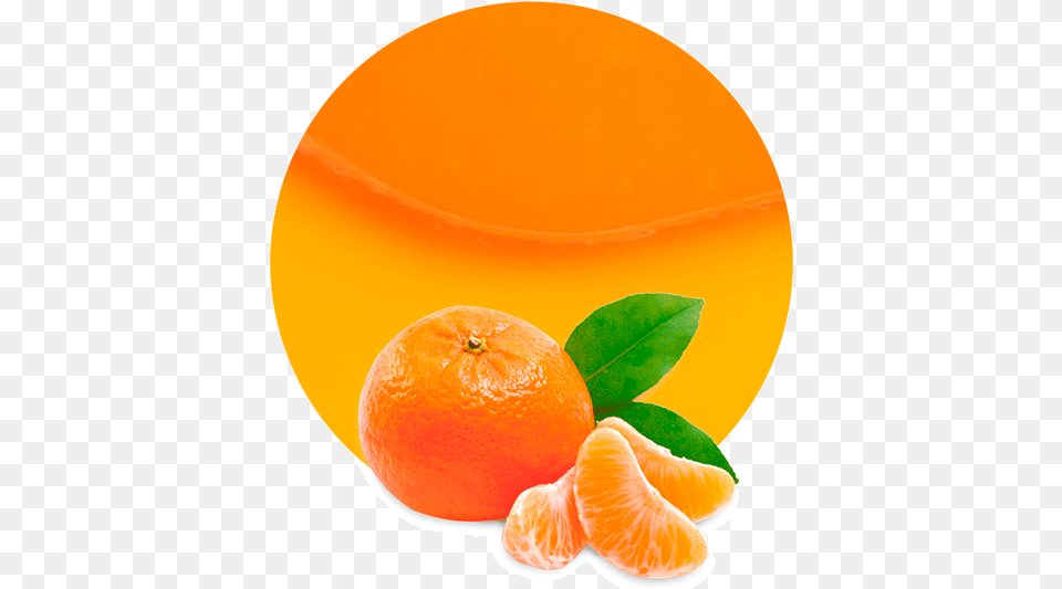Mandarin Transparent, Citrus Fruit, Food, Fruit, Grapefruit Png Image
