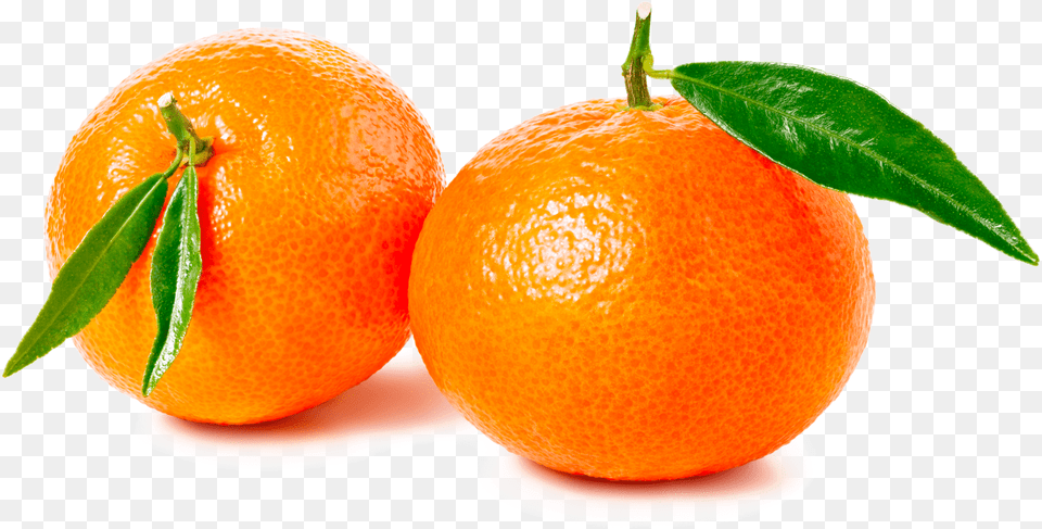 Mandarina, Citrus Fruit, Food, Fruit, Orange Free Transparent Png