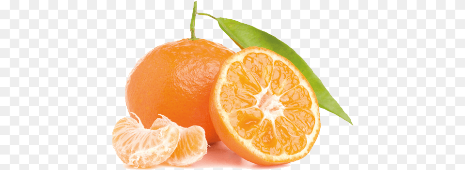 Mandarina Fruta Madurada Al Sol Oleo Essencial De Bergamota, Citrus Fruit, Food, Fruit, Grapefruit Png