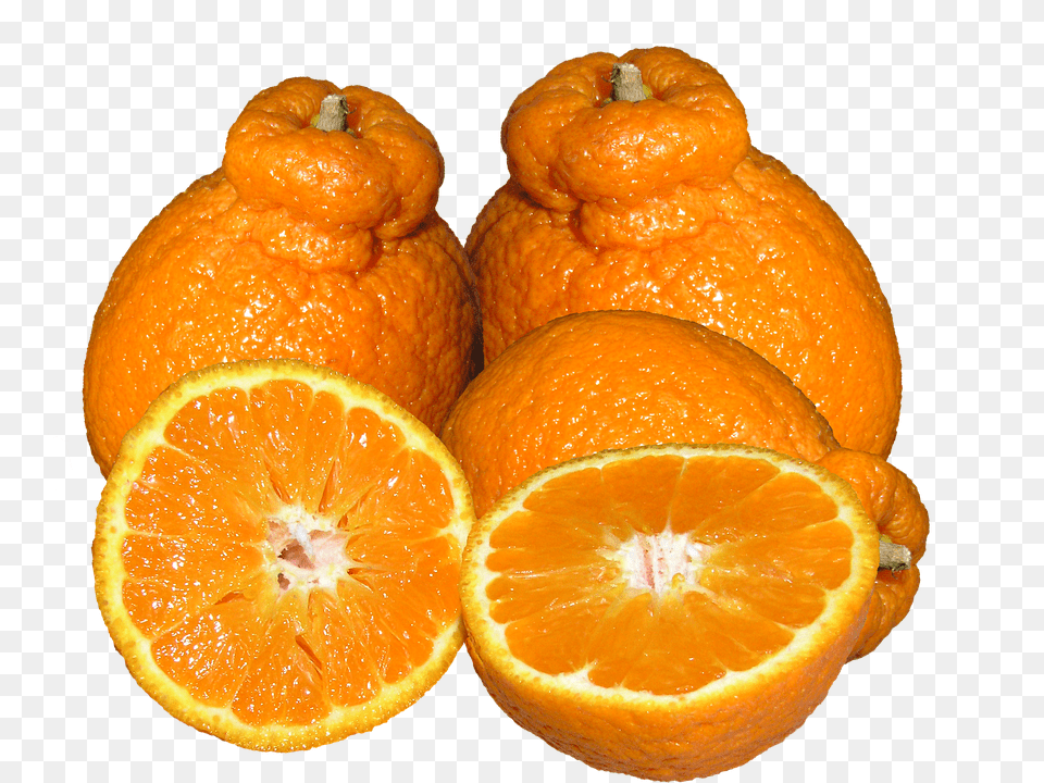 Mandarins Citrus Fruit, Food, Fruit, Orange Free Png Download