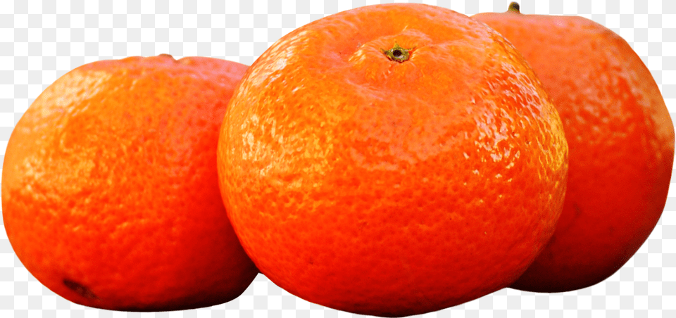 Mandarins Tangerines Purepng Free Transparent Tangerines, Citrus Fruit, Food, Fruit, Grapefruit Png