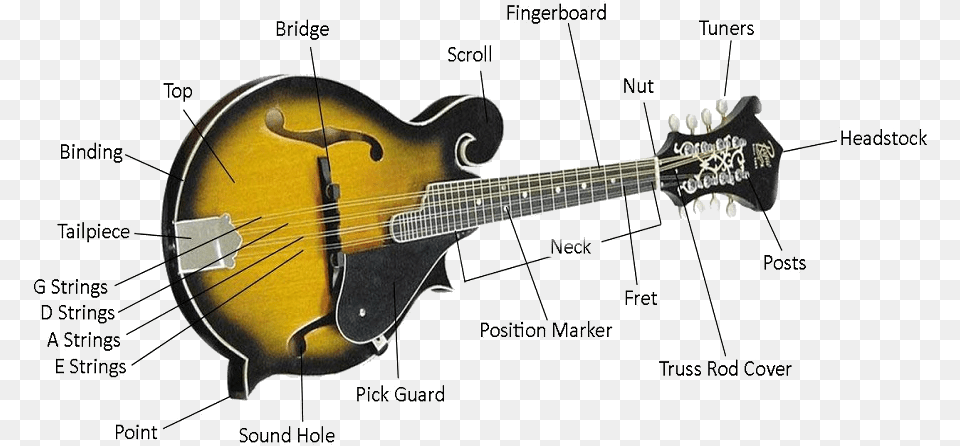 Mandolin Quality Mandolin Parts, Guitar, Musical Instrument Free Png Download
