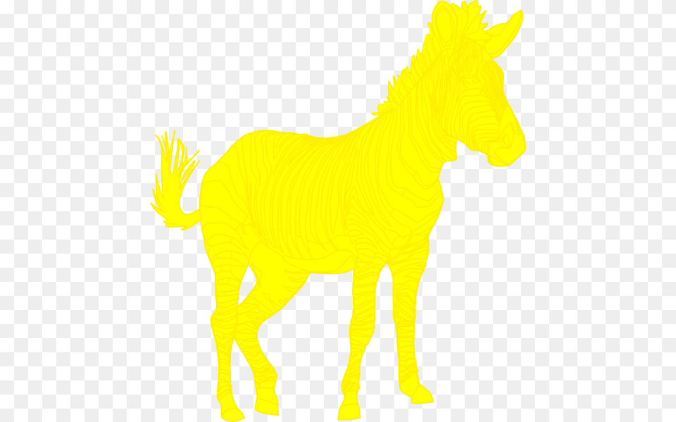 Mane, Animal, Mammal, Colt Horse, Horse Png Image