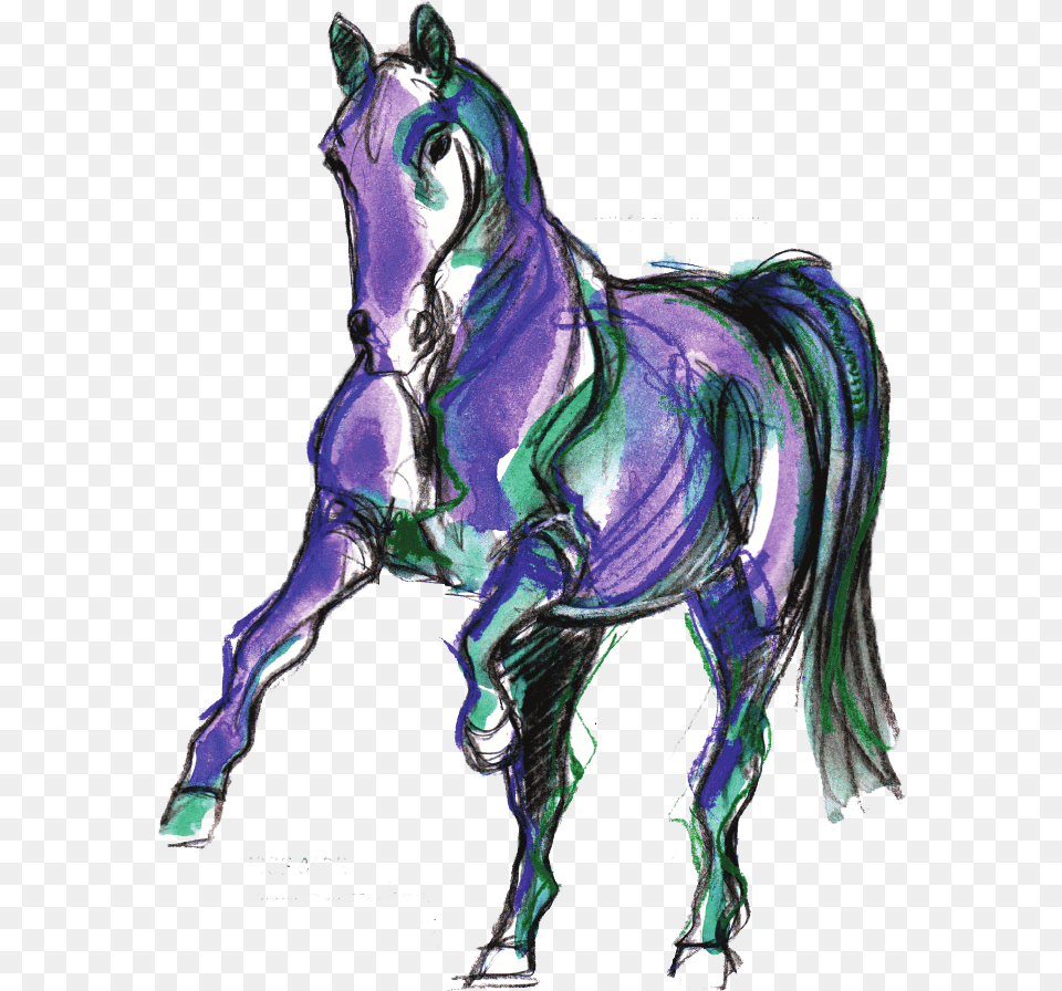 Mane, Animal, Horse, Mammal, Art Free Png