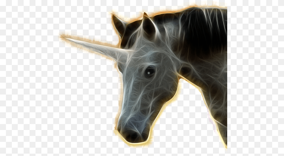 Mane, Animal, Mammal, Canine, Dog Free Transparent Png