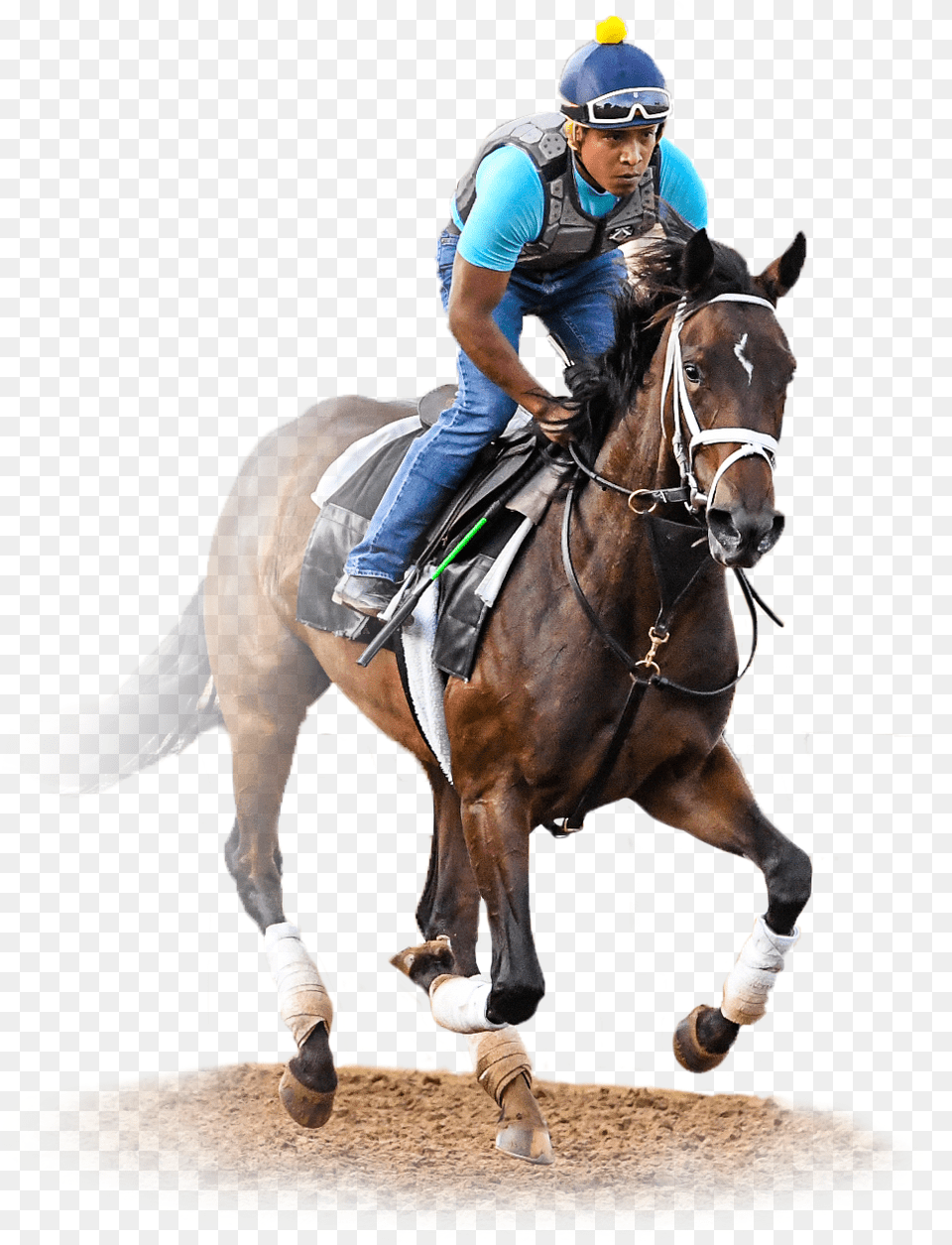 Mane, Horse, Animal, Person, Equestrian Free Transparent Png
