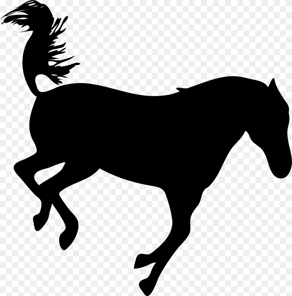 Mane, Silhouette, Stencil, Animal, Horse Free Transparent Png