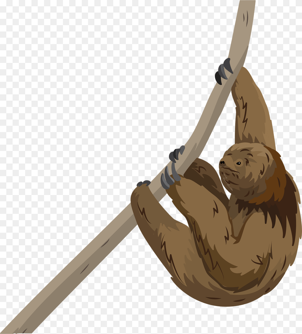 Maned Sloth Clipart, Animal, Wildlife, Mammal, Three-toed Sloth Free Transparent Png