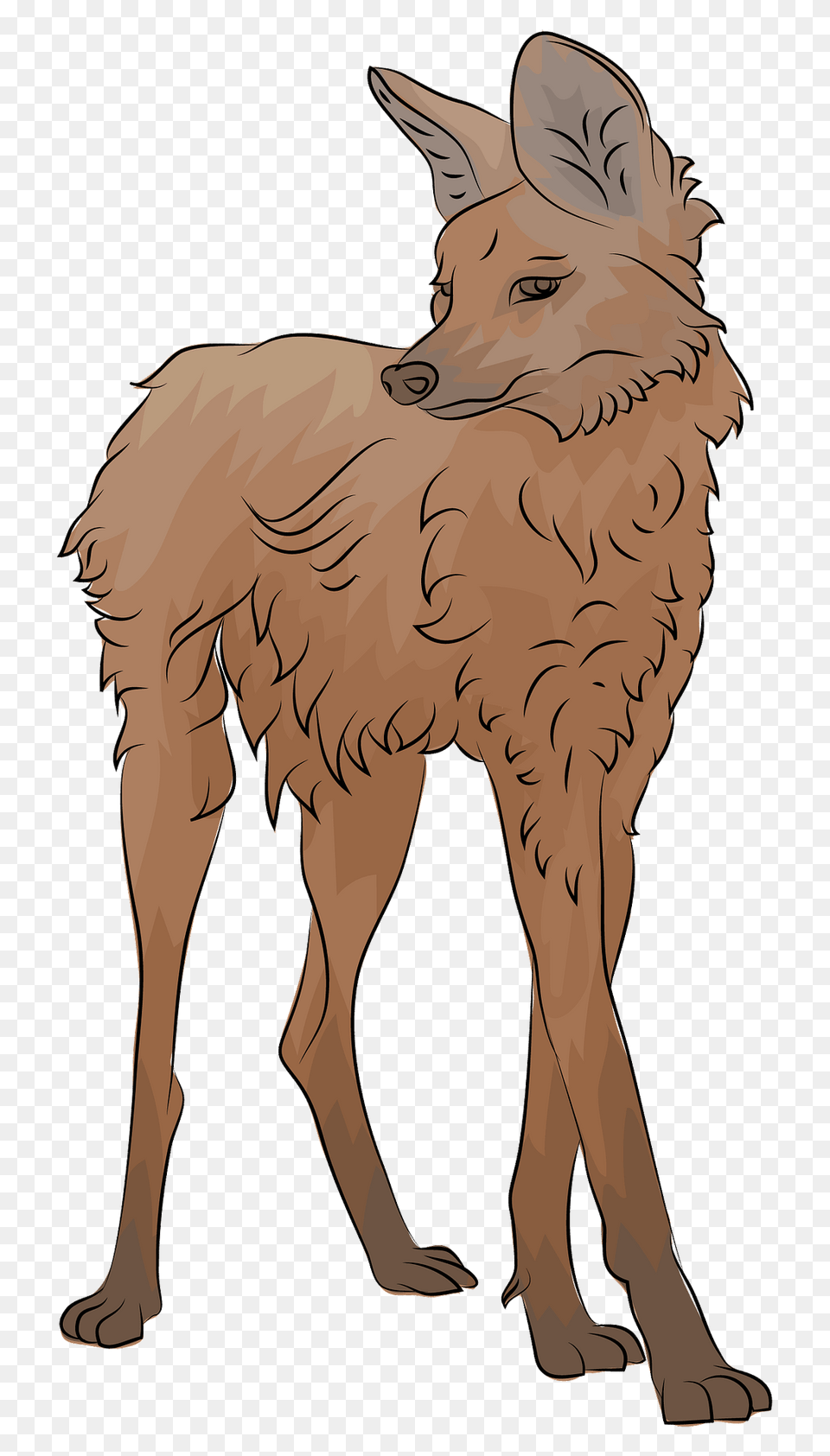 Maned Wolf Clipart, Animal, Coyote, Mammal, Person Png
