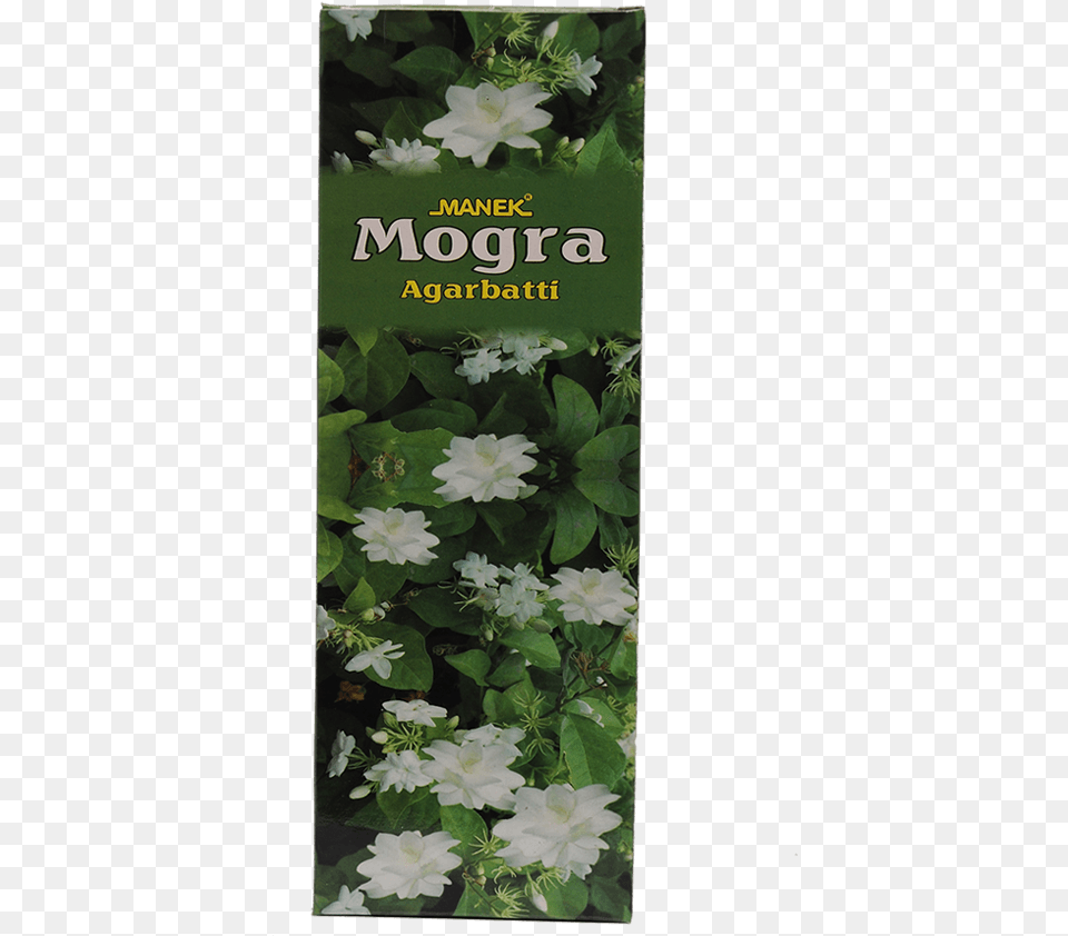 Manek Agarbatti Manufacturers White Trillium, Herbal, Herbs, Plant, Flower Free Png Download