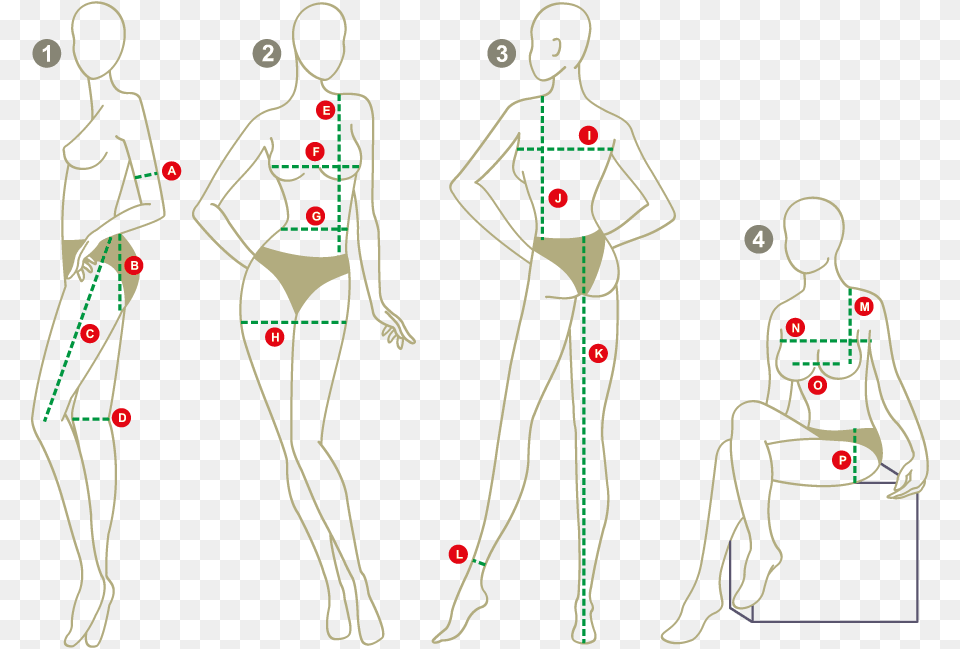 Manequim Manequim Com Medidas, Chart, Measurements, Plot, Person Free Png