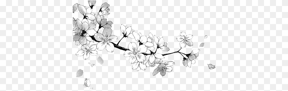 Manga Flower Render Dby Domicoamv Daficnv Fiction Full Flower Draw, Art, Floral Design, Graphics, Pattern Free Png Download