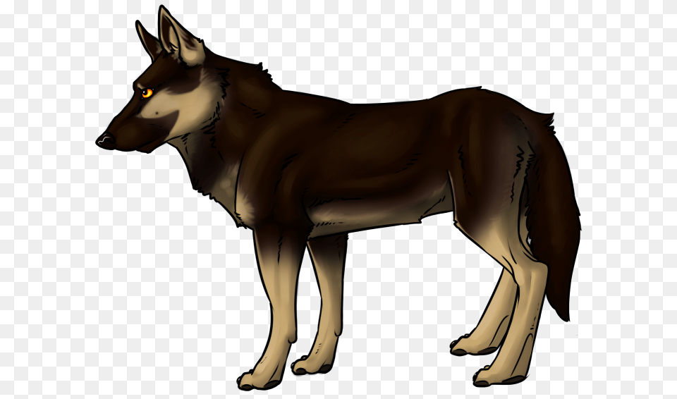 Manga German Shepherd Art And Drawing And Lots Of Dragons, Animal, Canine, Mammal, Red Wolf Png Image
