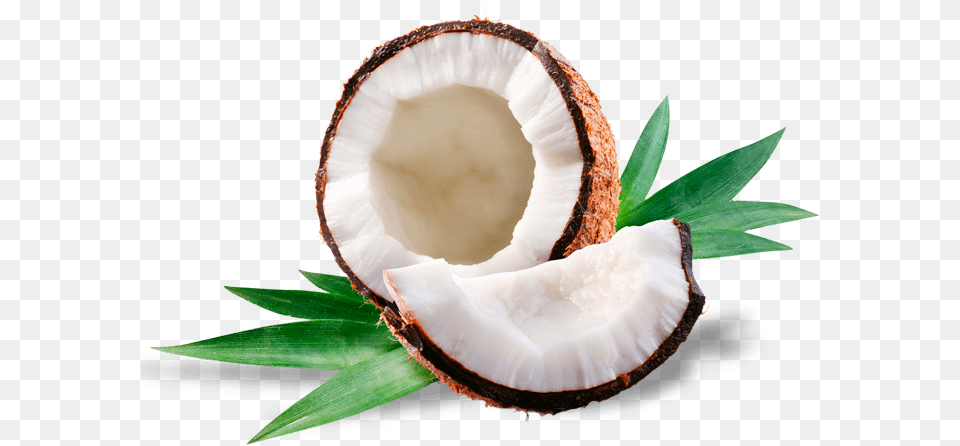 Mangaroca Batida De Coco Coconut Perfume Amp Cologne, Food, Fruit, Plant, Produce Free Png Download
