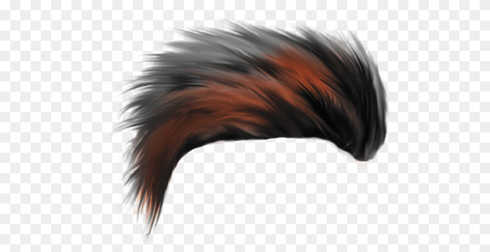 Mangesh Sominath Full Hd Hair, Accessories, Animal, Bird, Mohawk Hairstyle Free Transparent Png