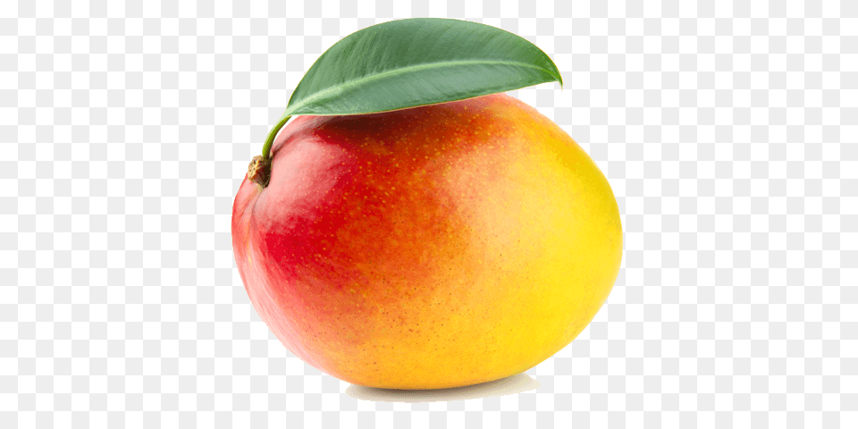 Mango, Food, Fruit, Plant, Produce Png