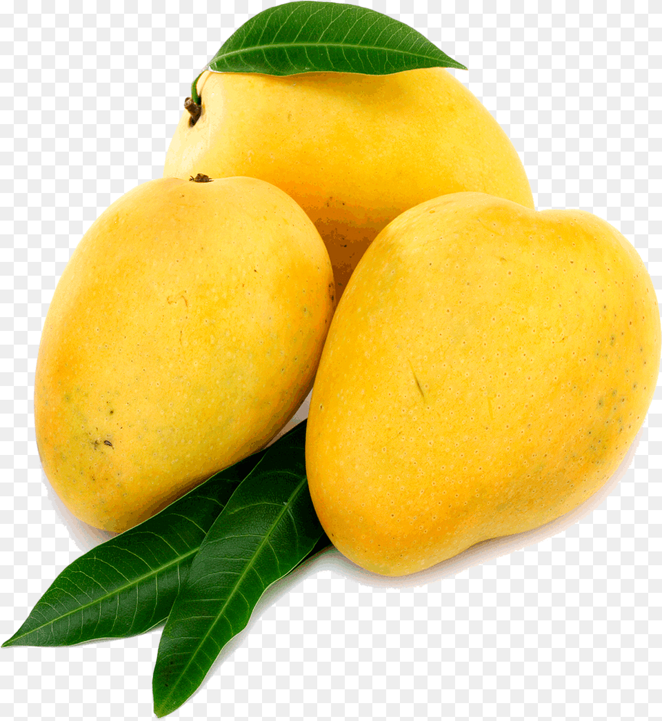 Mango, Food, Fruit, Plant, Produce Free Transparent Png