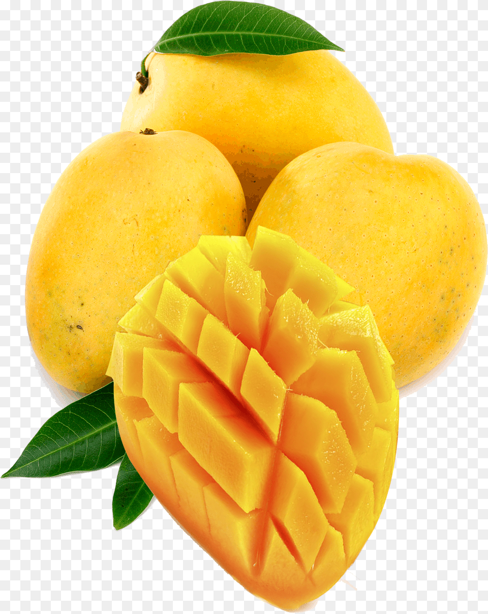 Mango, Food, Fruit, Plant, Produce Free Png