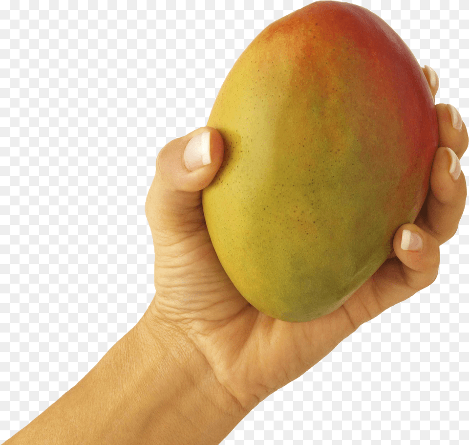 Mango, Food, Fruit, Plant, Produce Free Transparent Png