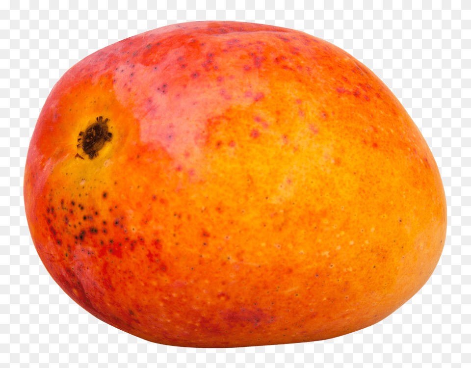 Mango, Food, Fruit, Plant, Produce Free Png Download