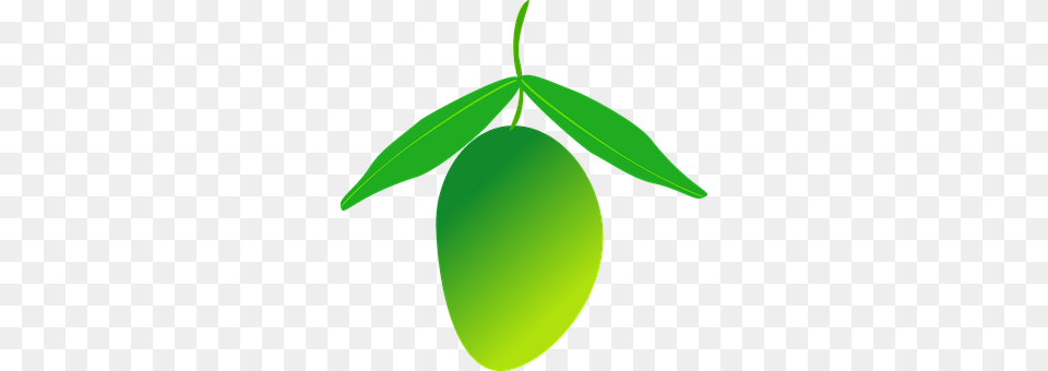 Mango Leaf, Plant, Food, Fruit Png Image